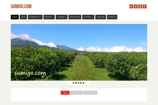 Site using Portfolio-filter-gallery plugin