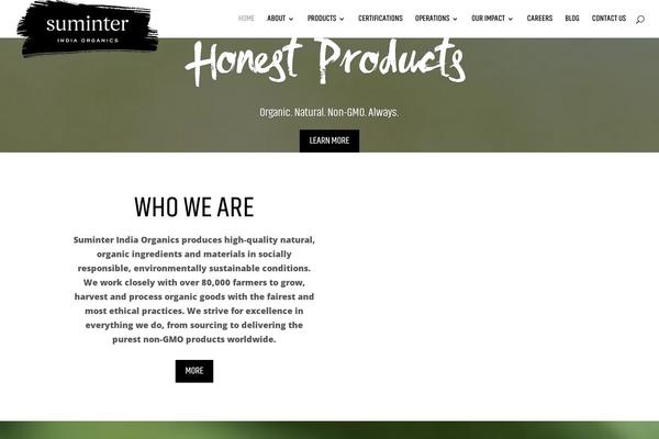 Divi Child theme site design template sample