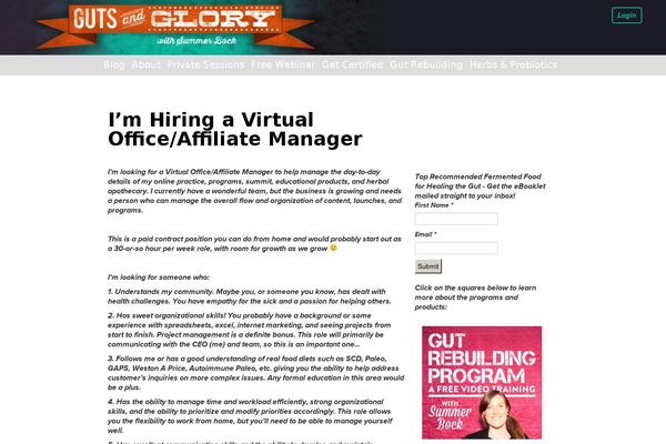 practice theme websites examples