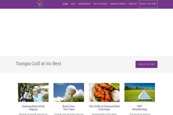 Site using Golfnow-genesis-a11y plugin