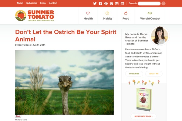 Grain & Mortar theme site design template sample