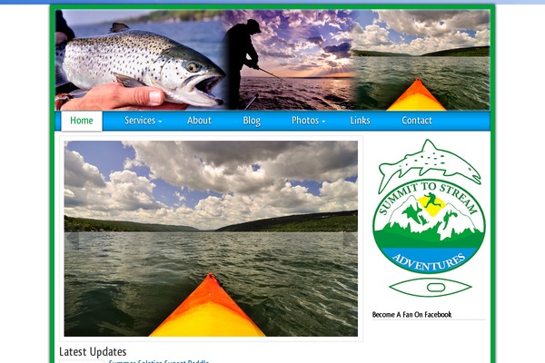Briny theme site design template sample