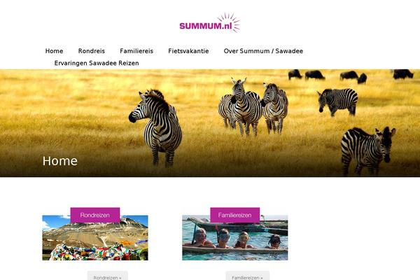Thereview theme site design template sample