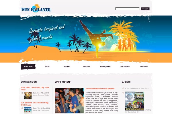 Site using Transposh WordPress Translation plugin