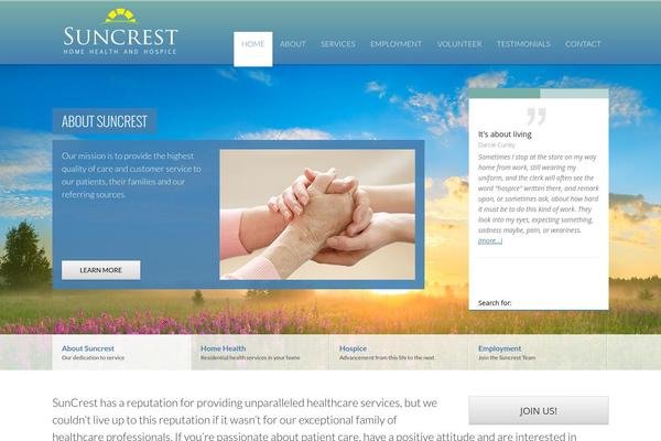 Salient theme site design template sample