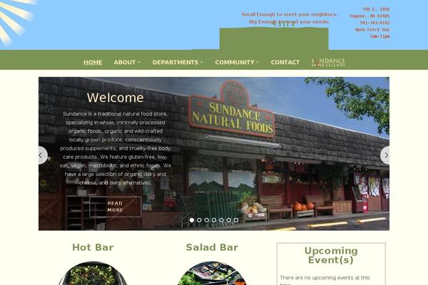 Foodica theme site design template sample