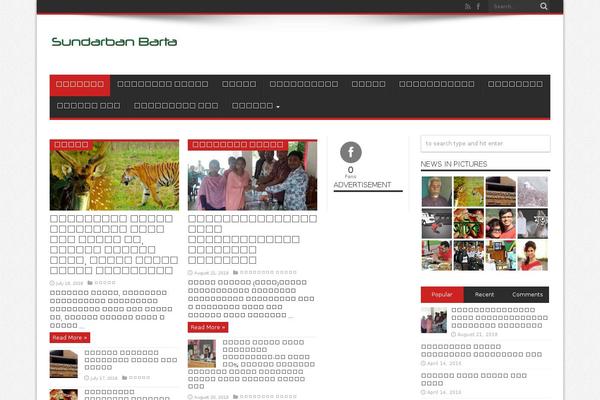 Newspaper theme site design template sample