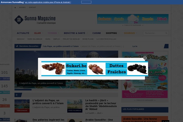 VMagazine Lite theme site design template sample