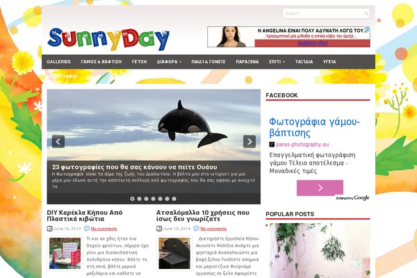 Site using Otw-blog-manager plugin