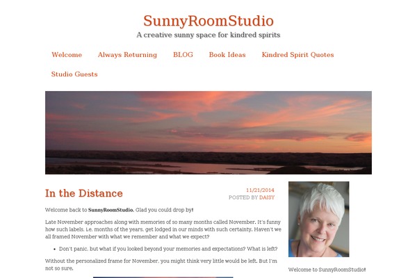sunnyroomstudio.com site used Pliska