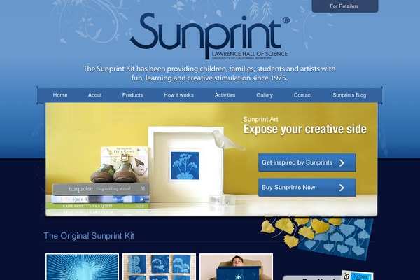 Wp-coda theme site design template sample