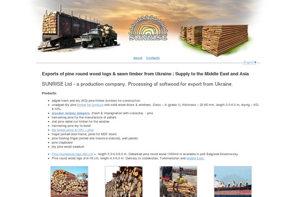 Sunrise theme site design template sample