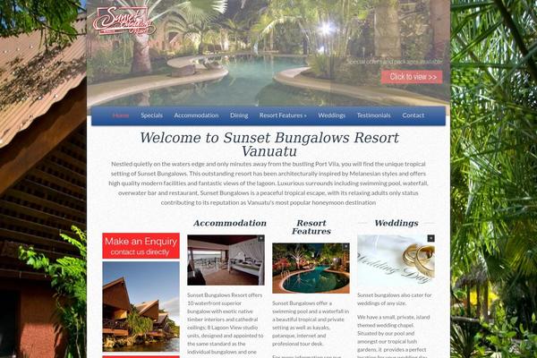 Magazine-express theme site design template sample