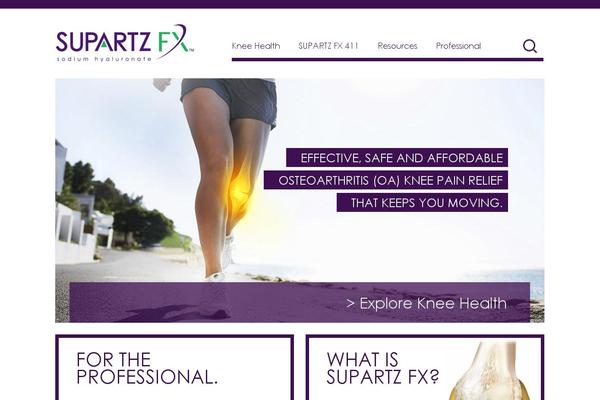 Site using Helios Solutions Responsive category FAQ plugin