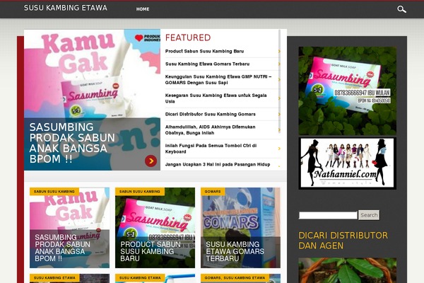 super-e.net site used Hive-lite