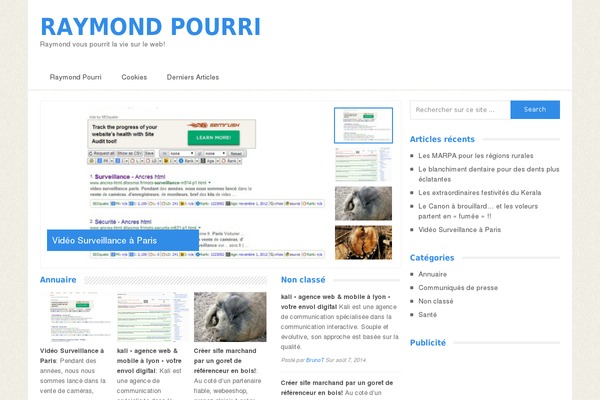super-raymond.com site used Lazanews