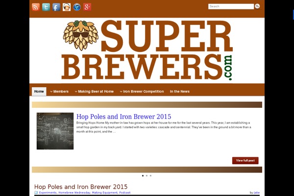 Twenty Sixteen theme site design template sample