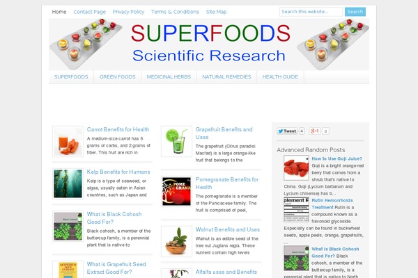 Lifestyle Pro theme site design template sample