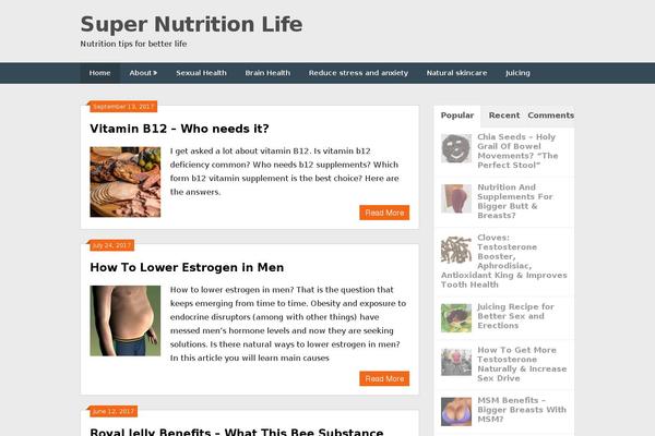 HitMag theme site design template sample
