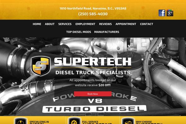Site using Tenweb-speed-optimizer plugin
