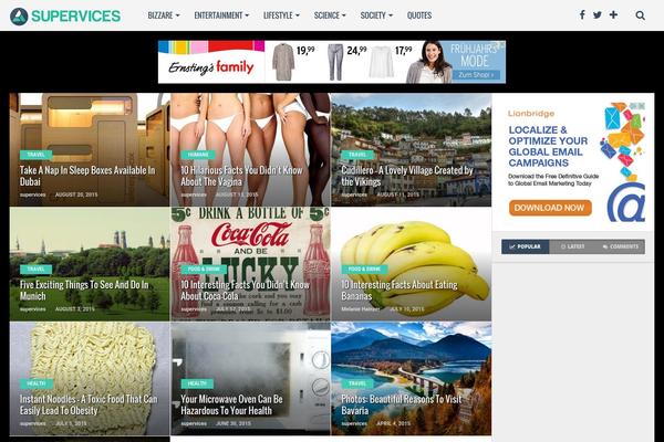 Site using Snax plugin