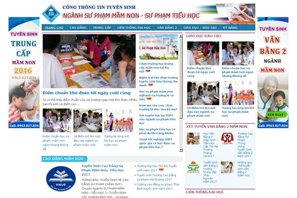 Vietnit theme site design template sample