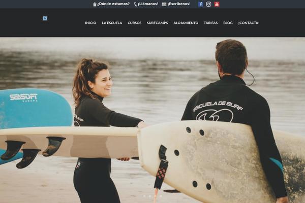 Diveit theme site design template sample