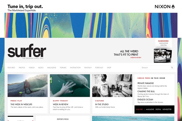 surfermag.com theme websites examples