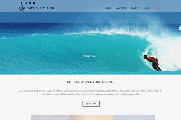 Site using Wp-social-feed plugin