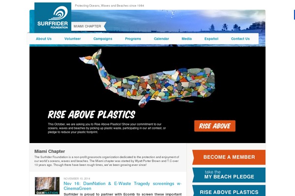 surfrider theme websites examples