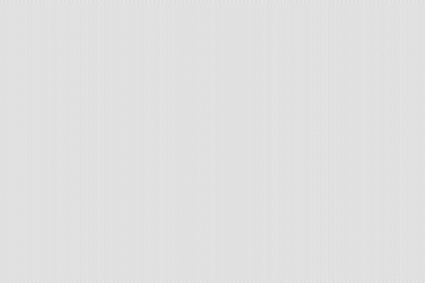 Site using Loading Bar plugin