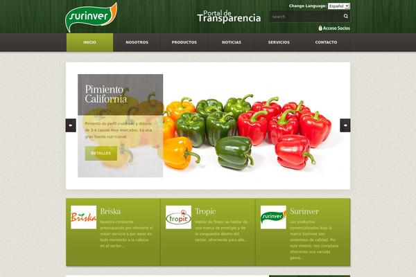 Site using Adapta-rgpd plugin