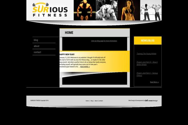 Wb4wp-wordpress-theme-production theme site design template sample