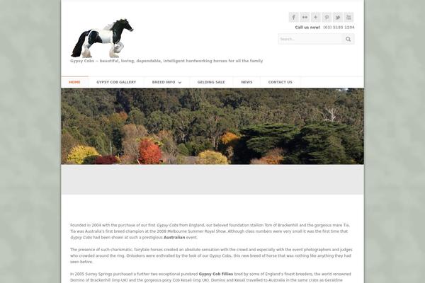Site using Foobox-image-lightbox-premium plugin
