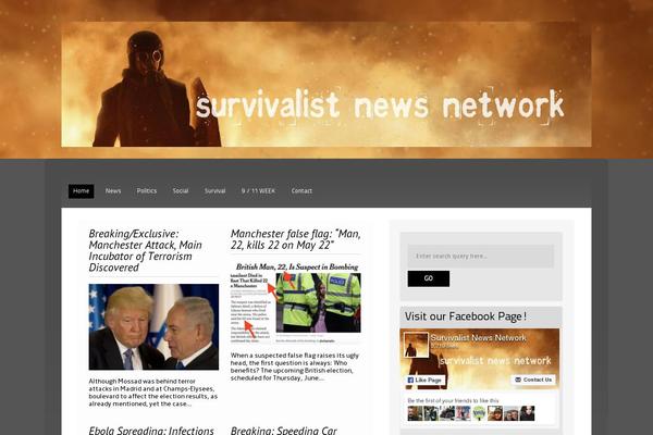 Themealley theme site design template sample