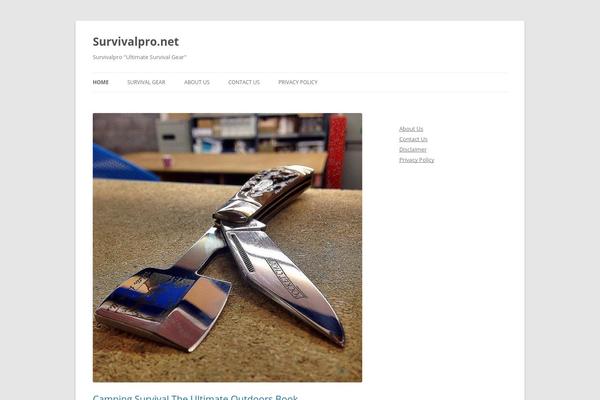 Schema Lite theme site design template sample