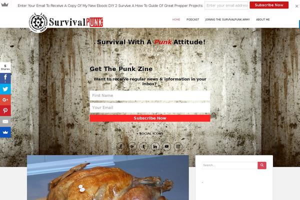 Site using Official MailerLite Sign Up Forms plugin