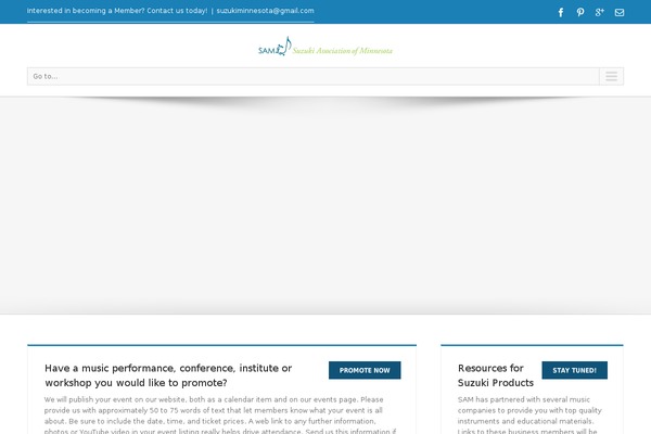 Site using Code Embed plugin