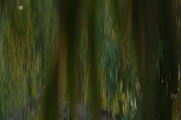 Site using Flow-flow plugin