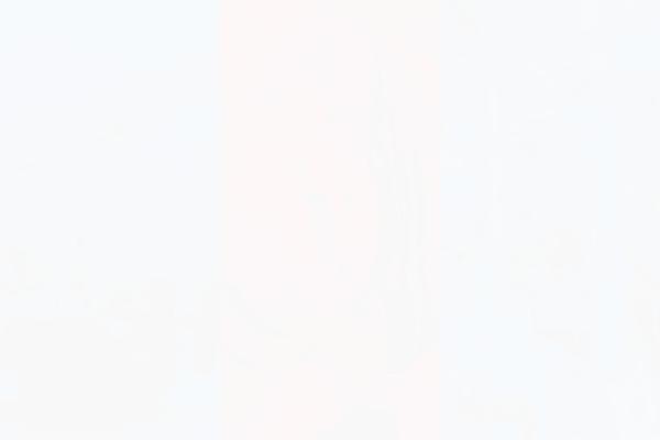 Total theme site design template sample