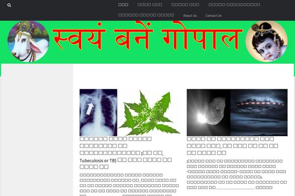 Hueman-pro theme site design template sample