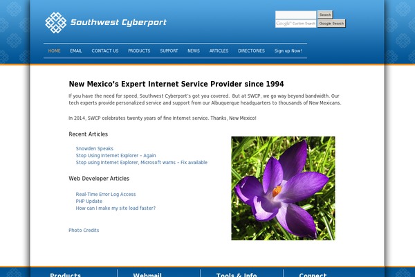 Site using Search by Google plugin