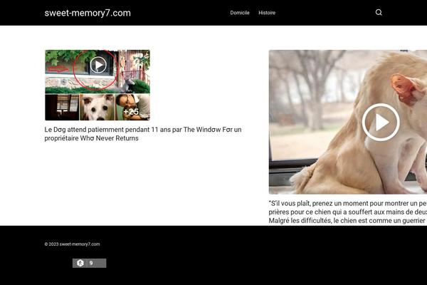 Yelly theme site design template sample