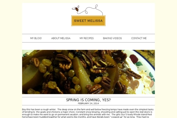Site using Mediavine-trellis-images plugin