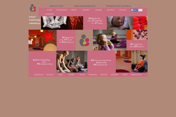 instytut theme websites examples