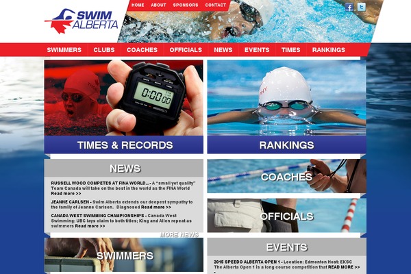 Pro theme site design template sample