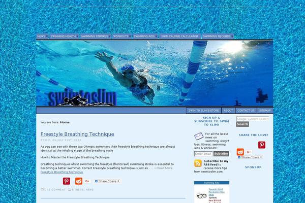 atahualpa378 theme websites examples