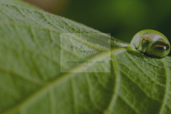 Gleam-child theme websites examples