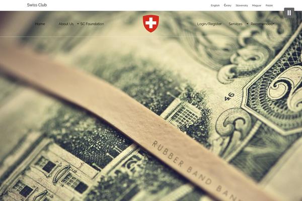 pinnacle_child theme websites examples