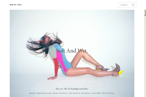 swm theme websites examples